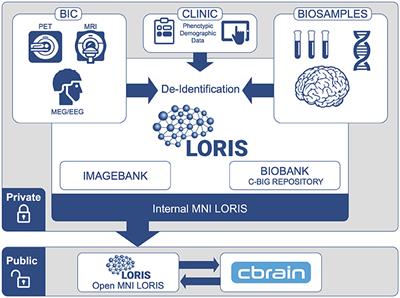 Cyberinfrastructure for Open Science at the Montreal Neurological Institute